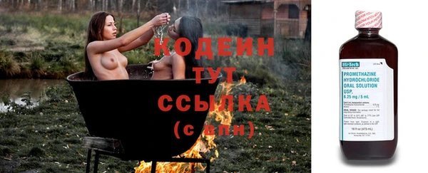 шишки Вуктыл